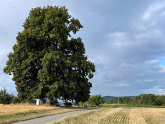 csm_rckblcke_Sonntagsspaziergang_10.09.2023_738548ddfd